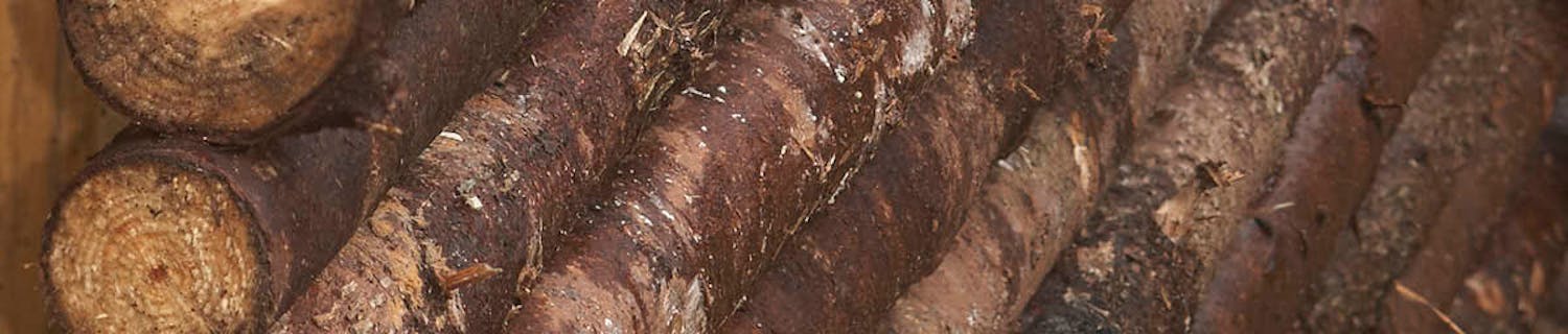 gran slanor med bark gran slanor med bark